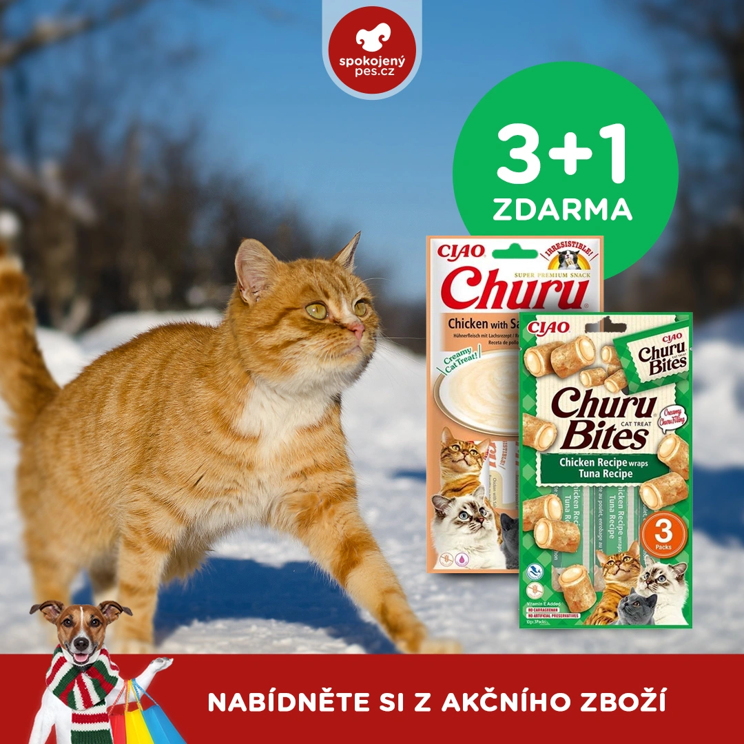 akční leden13.webp